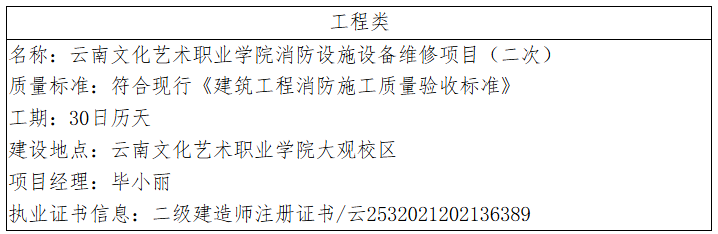 云南文化艺术职业学院 消防设施设备维修项目（二次）成交结果公告