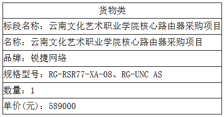 云南文化艺术职业学院 核心路由器采购项目中标公告